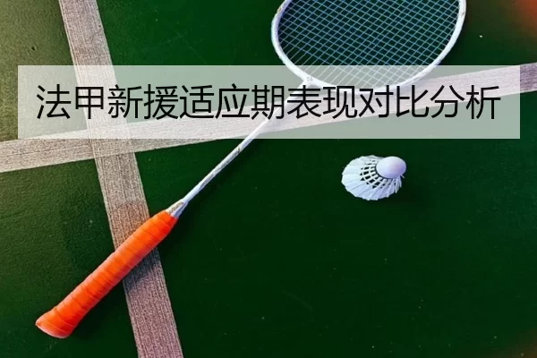 法甲新援适应期表现对比分析